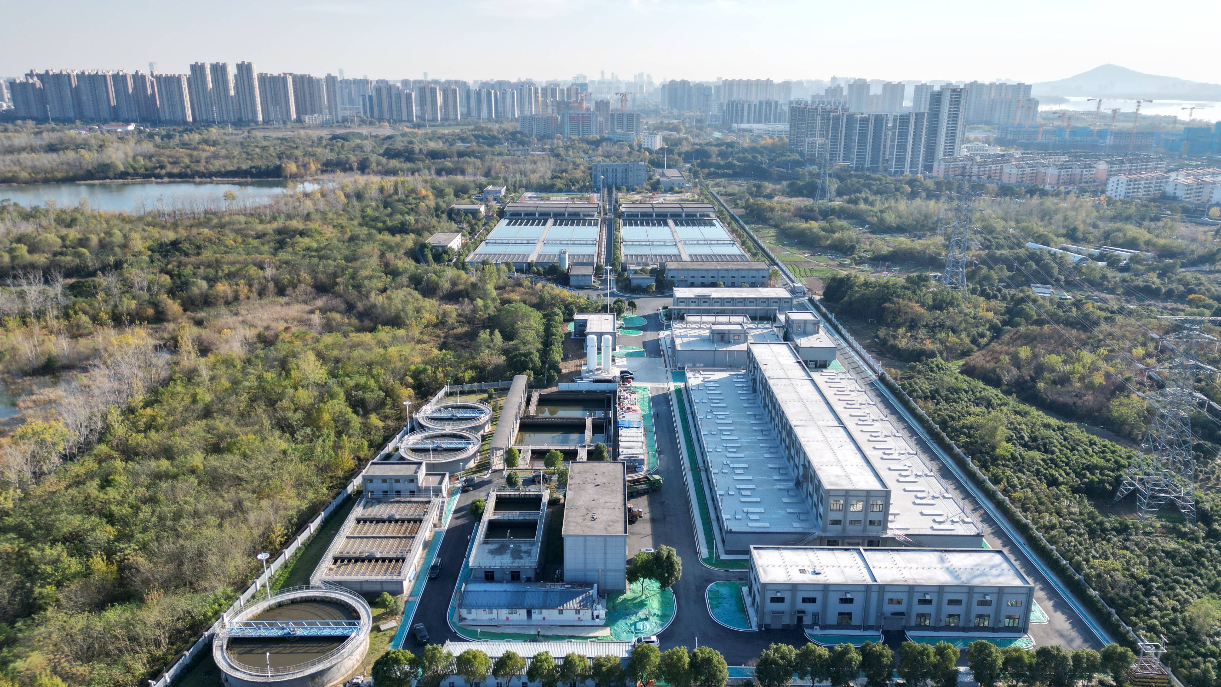 常州市合肥专业企业价值增长(合肥市重点企业产业目录)