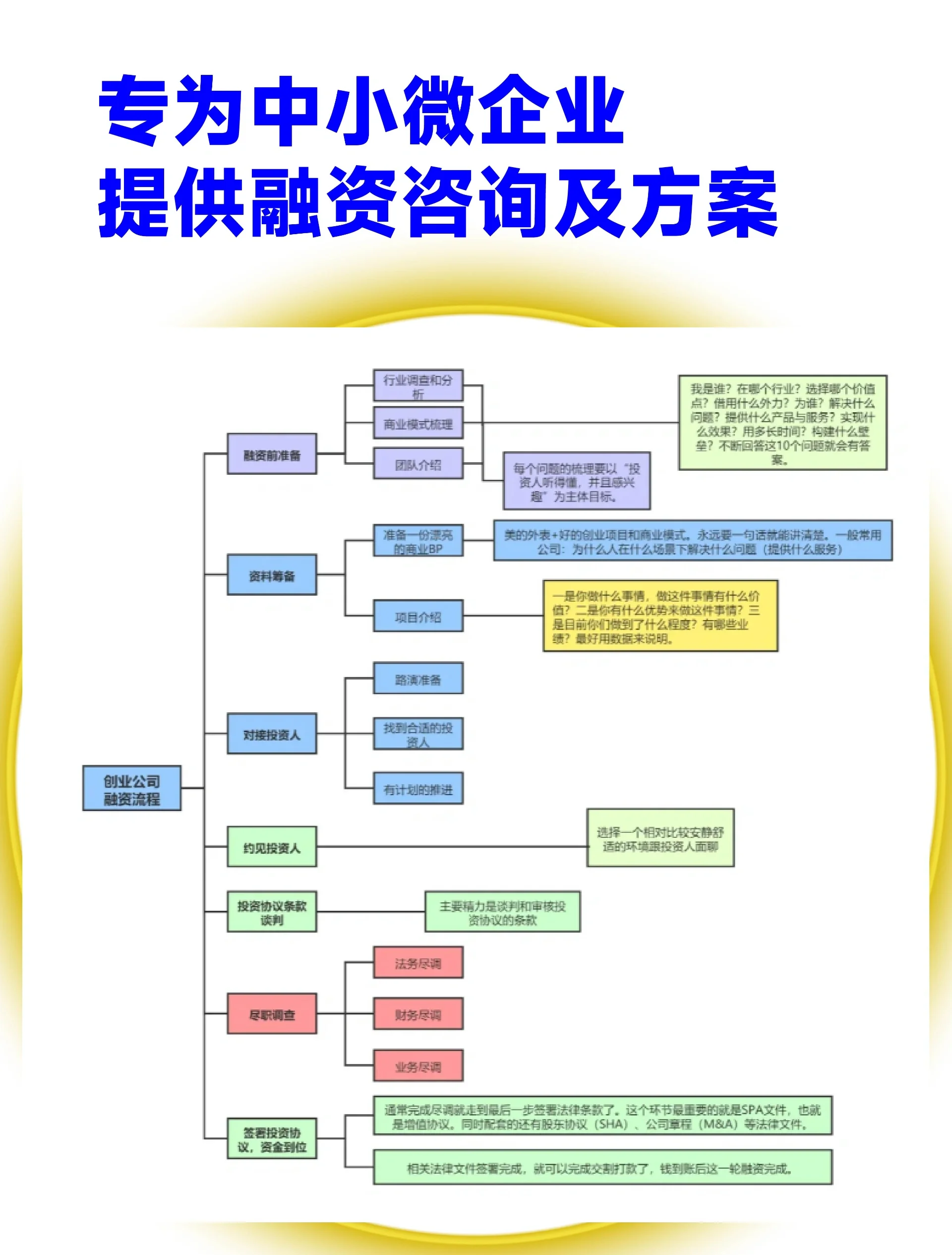 常州市宠物企业资金管理(宠物管理机构叫什么)