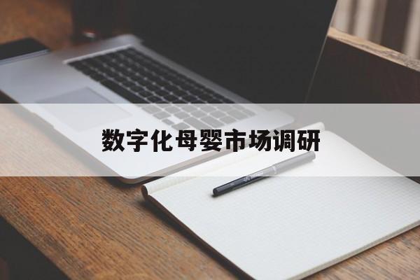 常州市数字化母婴市场调研(数字化母婴市场调研报告)